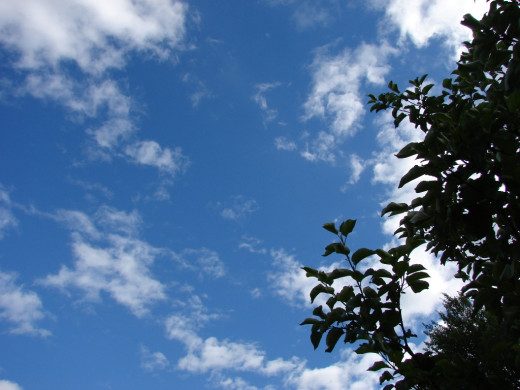 29944 (a): :1024x768